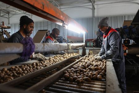 tagreuters.com2025binary_LYNXMPEL590JJ-VIEWIMAGE