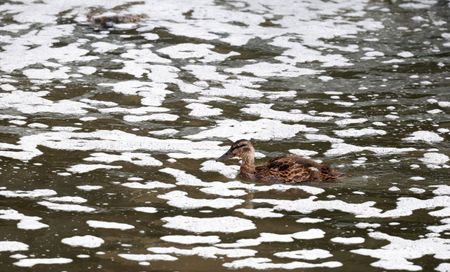 tagreuters.com2025binary_LYNXMPEL6K0GG-VIEWIMAGE