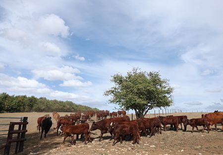 tagreuters.com2025binary_LYNXMPEL7R07D-VIEWIMAGE