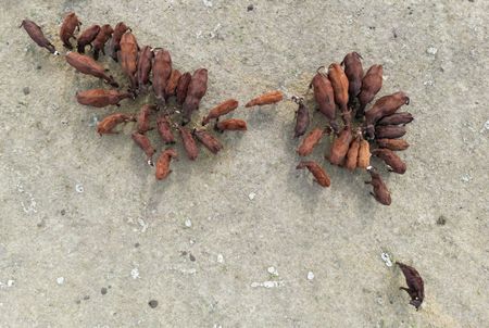 tagreuters.com2025binary_LYNXMPEL7R07F-VIEWIMAGE