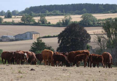 tagreuters.com2025binary_LYNXMPEL7R07H-VIEWIMAGE