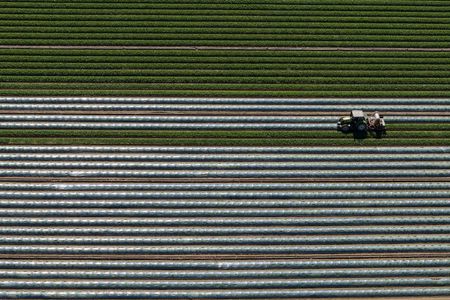 tagreuters.com2025binary_LYNXMPELBG13I-VIEWIMAGE