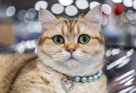 tagreuters.com2025binary_LYNXNPEL2U0A9-VIEWIMAGE