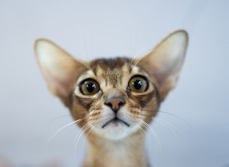 tagreuters.com2025binary_LYNXNPEL2U0AA-VIEWIMAGE