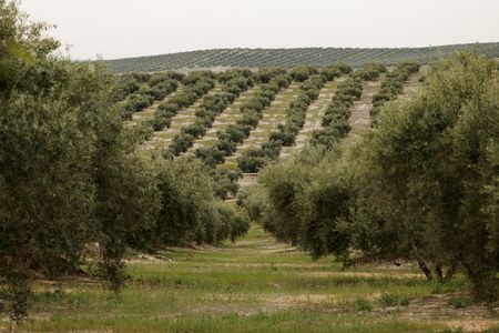 tagreuters.com2025binary_LYNXNPEL3A16D-VIEWIMAGE