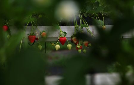 tagreuters.com2025binary_LYNXNPEL530LQ-VIEWIMAGE