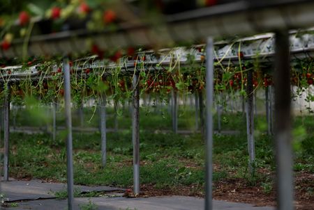 tagreuters.com2025binary_LYNXNPEL530LU-VIEWIMAGE