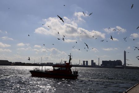 tagreuters.com2025binary_LYNXNPEL8O08Z-VIEWIMAGE