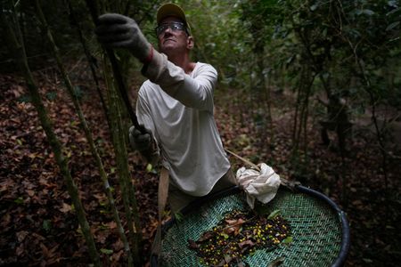 tagreuters.com2025binary_LYNXNPEL901LM-VIEWIMAGE