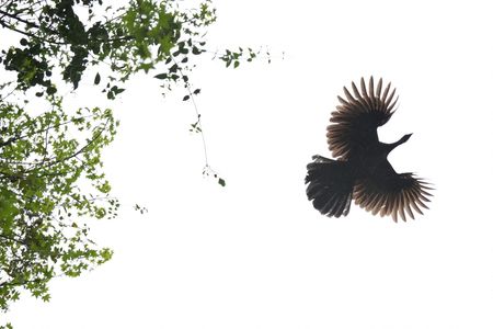 tagreuters.com2025binary_LYNXNPEL901LN-VIEWIMAGE