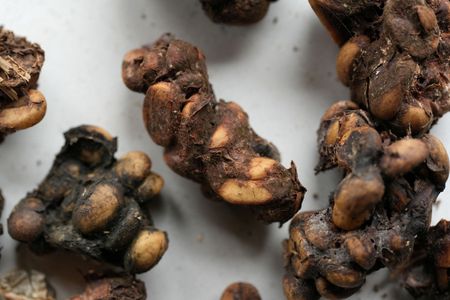 tagreuters.com2025binary_LYNXNPEL901LT-VIEWIMAGE