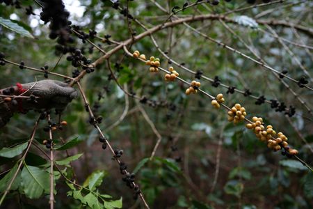 tagreuters.com2025binary_LYNXNPEL901LV-VIEWIMAGE