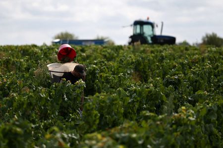 tagreuters.com2025binary_LYNXNPEL960B6-VIEWIMAGE