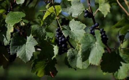 tagreuters.com2025binary_LYNXNPEL9G06O-VIEWIMAGE