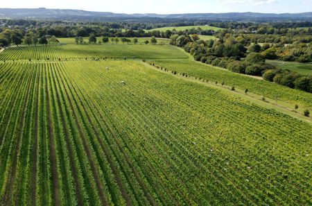 tagreuters.com2025binary_LYNXNPEL9G075-VIEWIMAGE