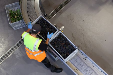 tagreuters.com2025binary_LYNXNPEL9G079-VIEWIMAGE