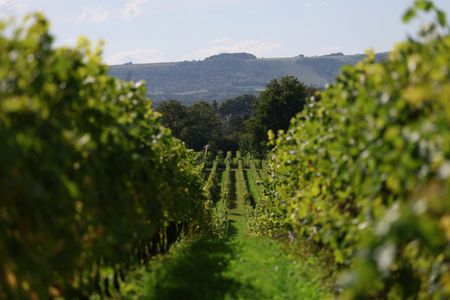 tagreuters.com2025binary_LYNXNPEL9G07B-VIEWIMAGE