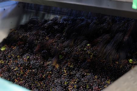 tagreuters.com2025binary_LYNXNPEL9G07C-VIEWIMAGE