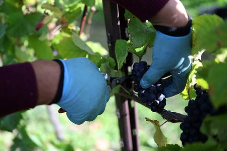 tagreuters.com2025binary_LYNXNPEL9G07D-VIEWIMAGE