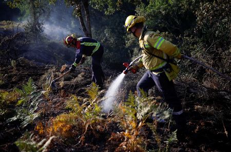 tagreuters.com2022binary_LYNXMPEI7B0W9-VIEWIMAGE