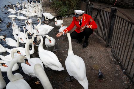 tagreuters.com2022binary_LYNXMPEI8B0VT-VIEWIMAGE