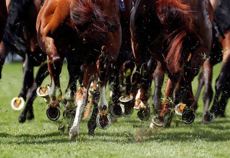 tagreuters.com2022binary_LYNXMPEI8F113-VIEWIMAGE