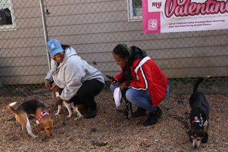 tagreuters.com2023binary_LYNXMPEJ280F8-VIEWIMAGE