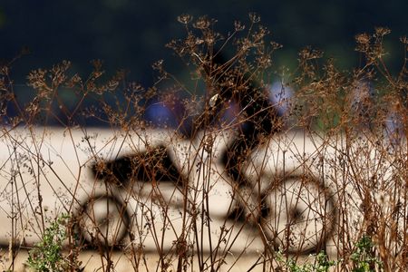 tagreuters.com2023binary_LYNXMPEJ8L0EW-VIEWIMAGE