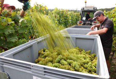 tagreuters.com2023binary_LYNXMPEJ9F0FB-VIEWIMAGE