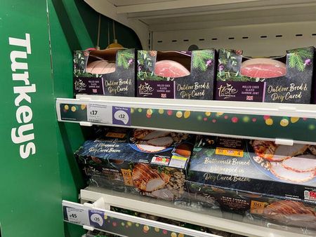 tagreuters.com2024binary_LYNXMPEK0207K-VIEWIMAGE