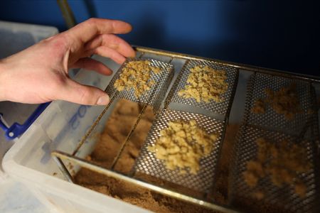 tagreuters.com2024binary_LYNXNPEK1P08W-VIEWIMAGE