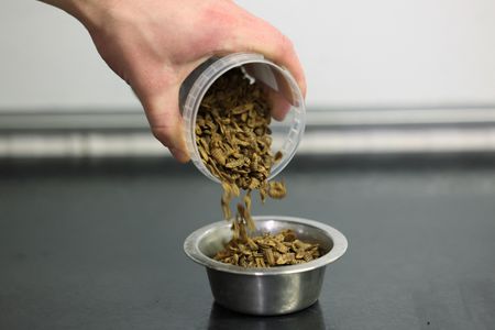 tagreuters.com2024binary_LYNXNPEK1P08X-VIEWIMAGE