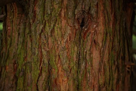 tagreuters.com2024binary_LYNXNPEK2C0MC-VIEWIMAGE