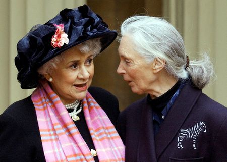 tagreuters.com2025binary_LYNXMPEL0G0HR-VIEWIMAGE