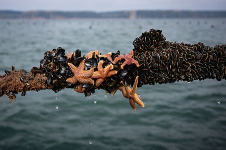 tagreuters.com2025binary_LYNXMPEL2D0BD-VIEWIMAGE