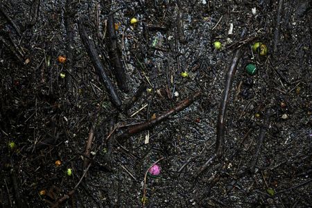 tagreuters.com2025binary_LYNXMPEL2D0BG-VIEWIMAGE