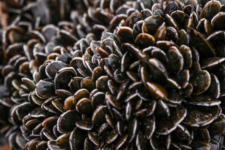 tagreuters.com2025binary_LYNXMPEL2D0BW-VIEWIMAGE