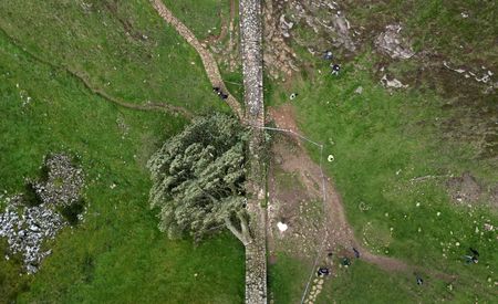 tagreuters.com2025binary_LYNXMPEL480MB-VIEWIMAGE