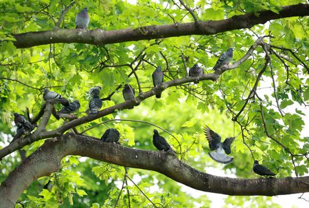 tagreuters.com2025binary_LYNXMPEL4B08N-VIEWIMAGE