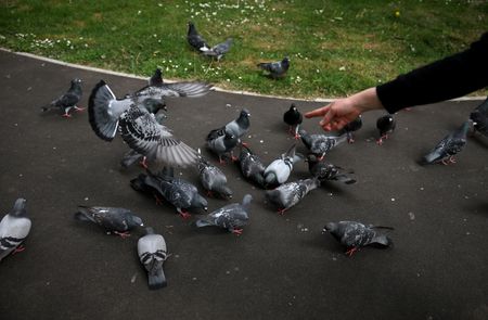 tagreuters.com2025binary_LYNXMPEL4B08Q-VIEWIMAGE