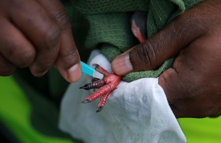 tagreuters.com2025binary_LYNXMPEL4B08S-VIEWIMAGE