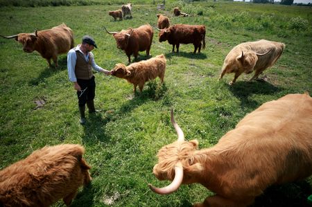 tagreuters.com2025binary_LYNXMPEL5I0DD-VIEWIMAGE