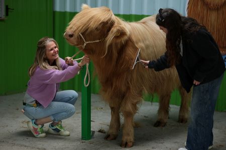 tagreuters.com2025binary_LYNXMPEL5I0DF-VIEWIMAGE