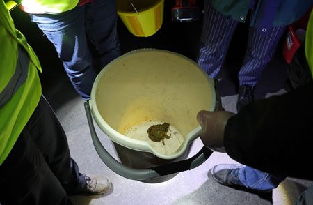 tagreuters.com2025binary_LYNXNPEL260G3-VIEWIMAGE