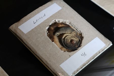 tagreuters.com2025binary_LYNXNPEL302C2-VIEWIMAGE