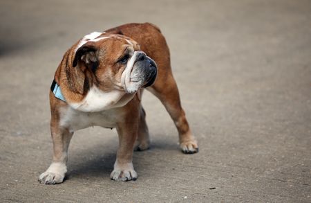 tagreuters.com2025binary_LYNXNPEL8S0K0-VIEWIMAGE