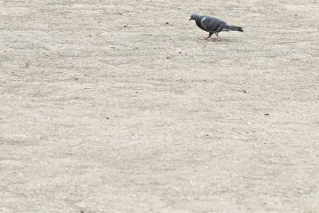 tagreuters.com2022binary_LYNXMPEI6B0Z7-VIEWIMAGE