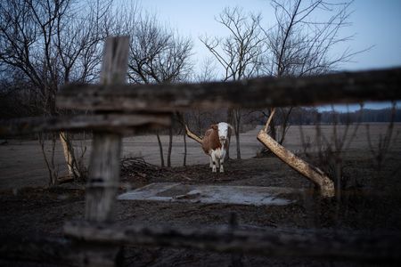 tagreuters.com2022binary_LYNXMPEI6R0J9-VIEWIMAGE