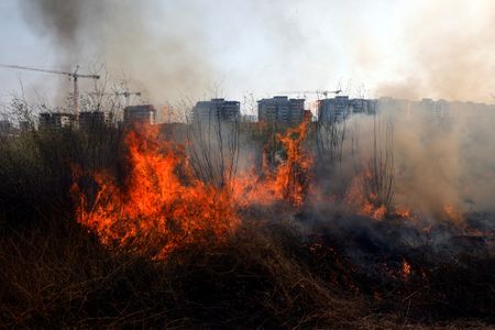 tagreuters.com2022binary_LYNXMPEI75078-VIEWIMAGE