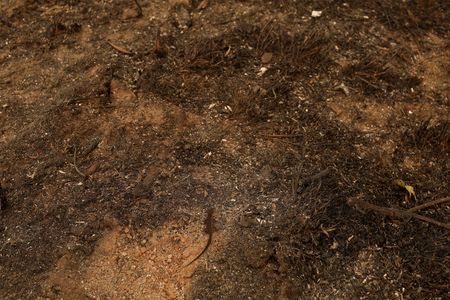 tagreuters.com2023binary_LYNXMPEJ13096-VIEWIMAGE